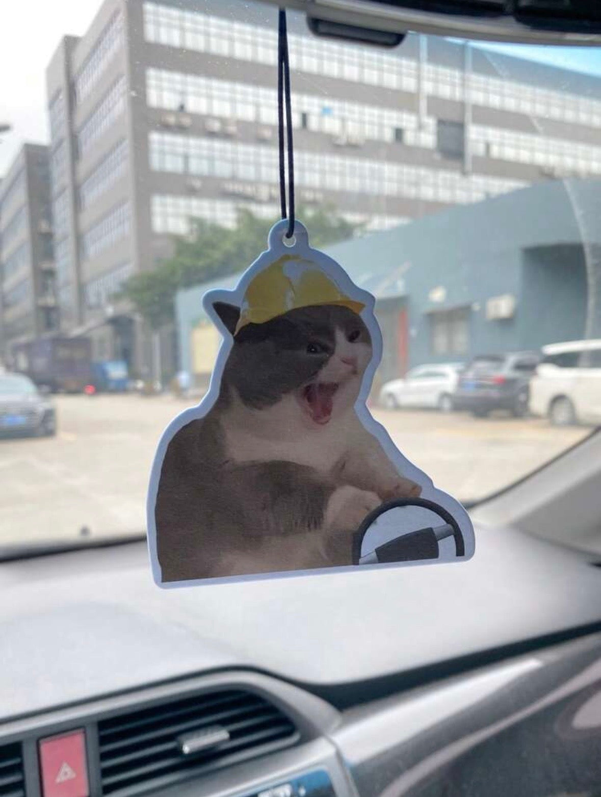 Wild Drivin Cat| Car Air Freshener