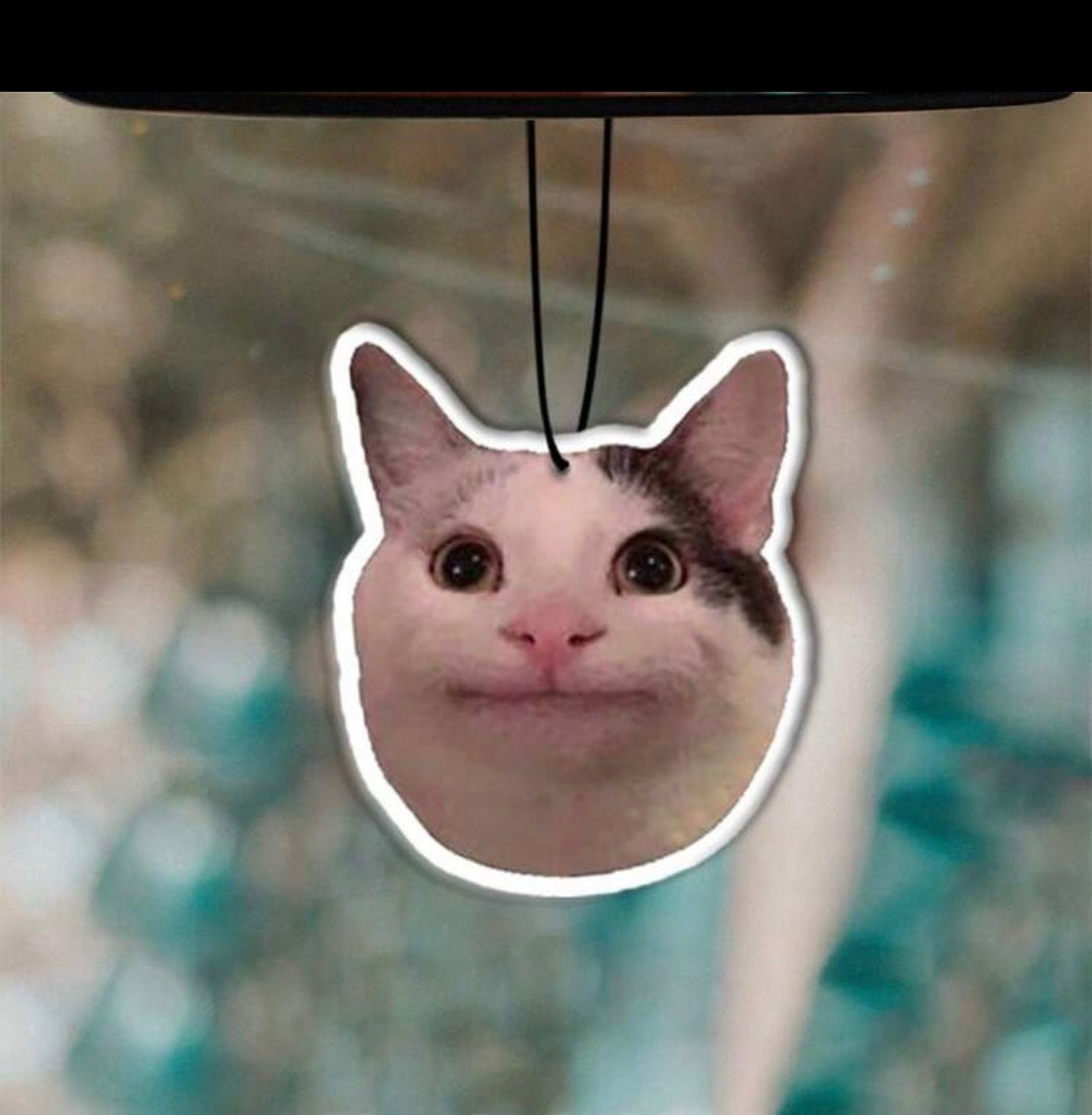The Meme Cat Air Freshener