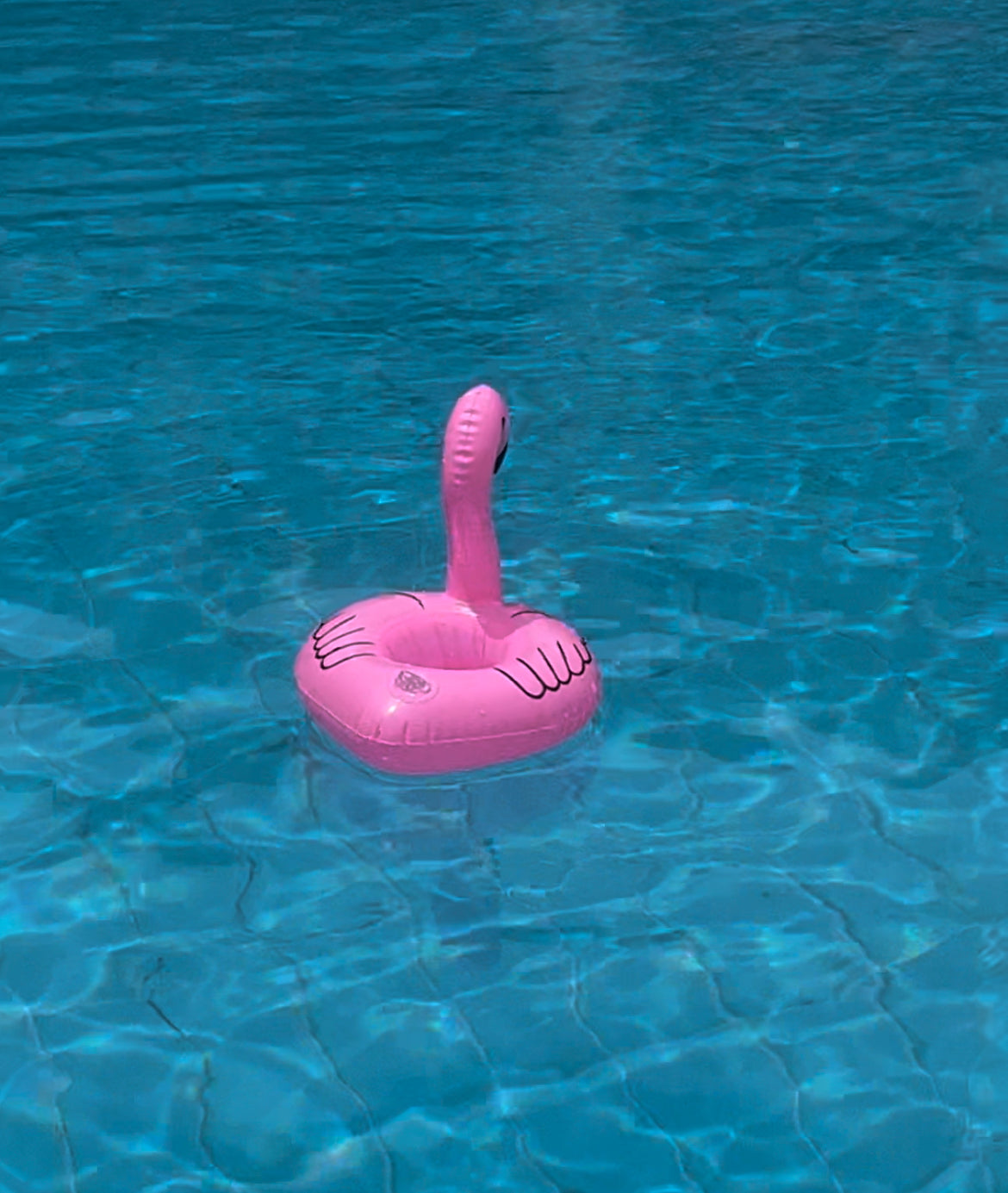 Flamingo Drink Holder 🦩