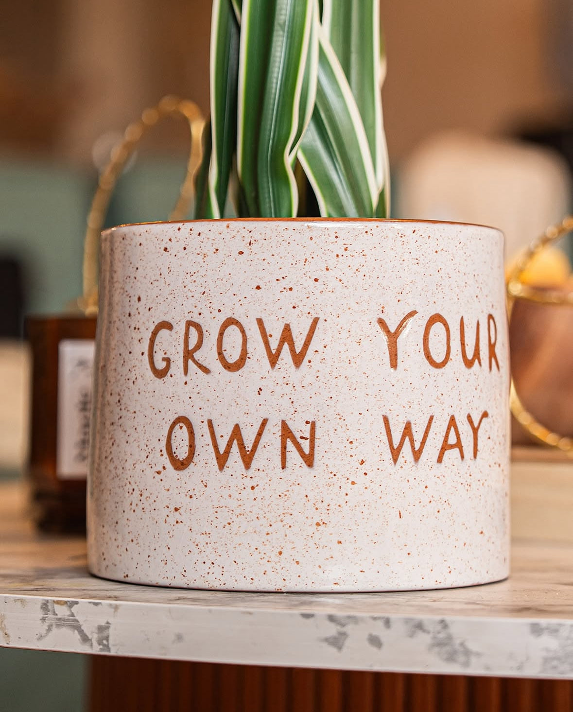 Plant pot pottery