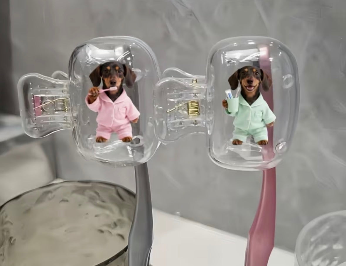 Toothbrush Travel Cover