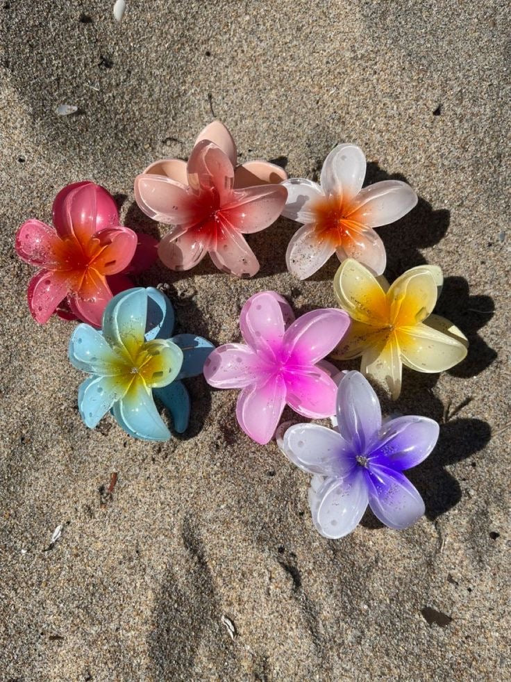Hawaiian hair claw clip