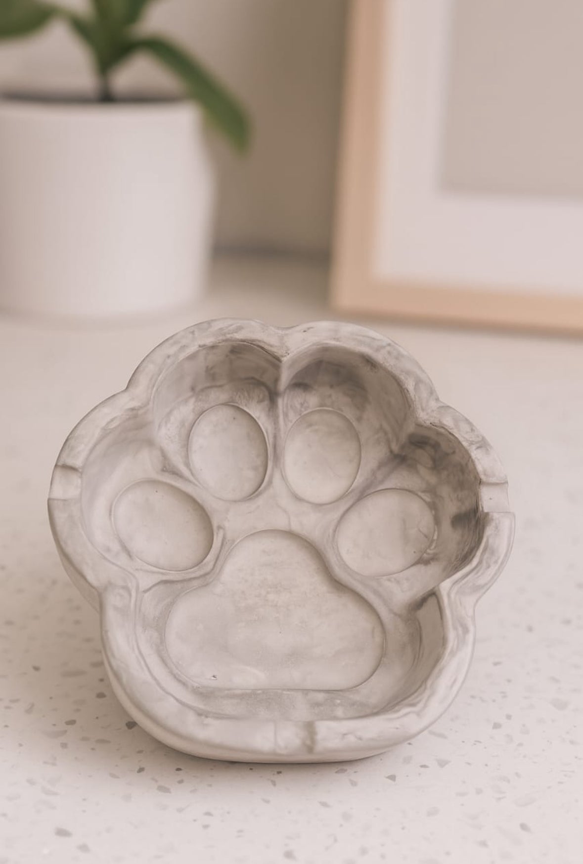Paw 🐾 Tray