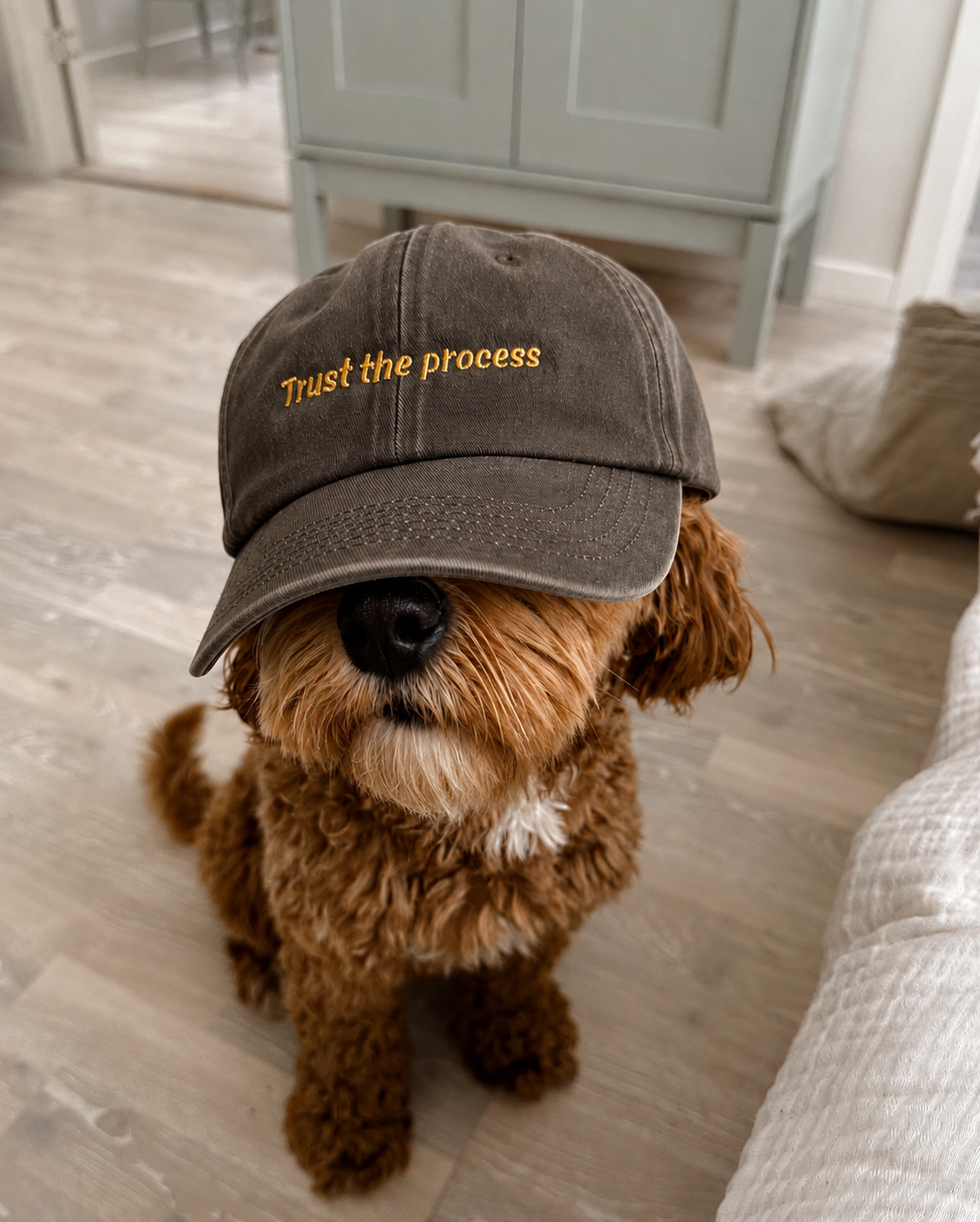 Trust the Process Cap | Vintage Washed Embroidered Baseball Cap