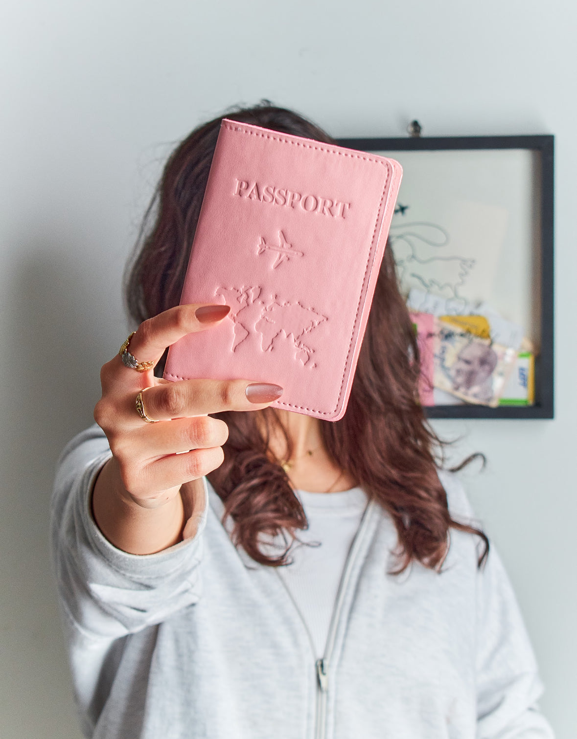 The traveler passport