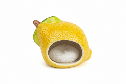 Lemon Bloom Sponge Holder 🍋