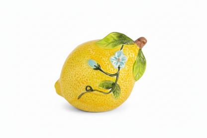 Lemon Bloom Sponge Holder 🍋
