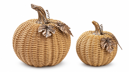 🍂 Woven Harvest Pumpkin Set