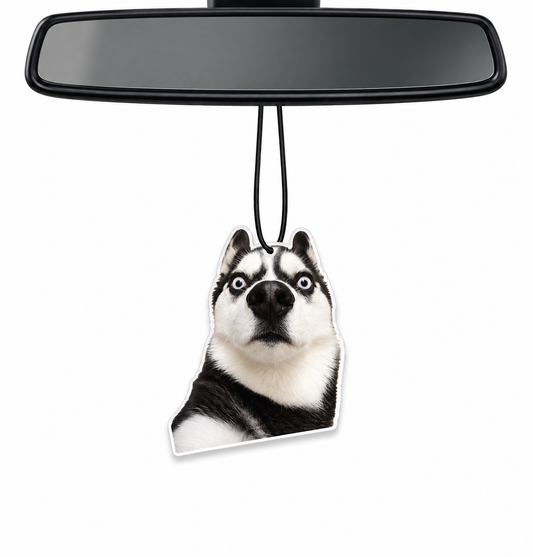 Husky Ride Air Freshener 🐾